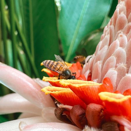 Clove Tree Hill Blimbing  Ngoại thất bức ảnh