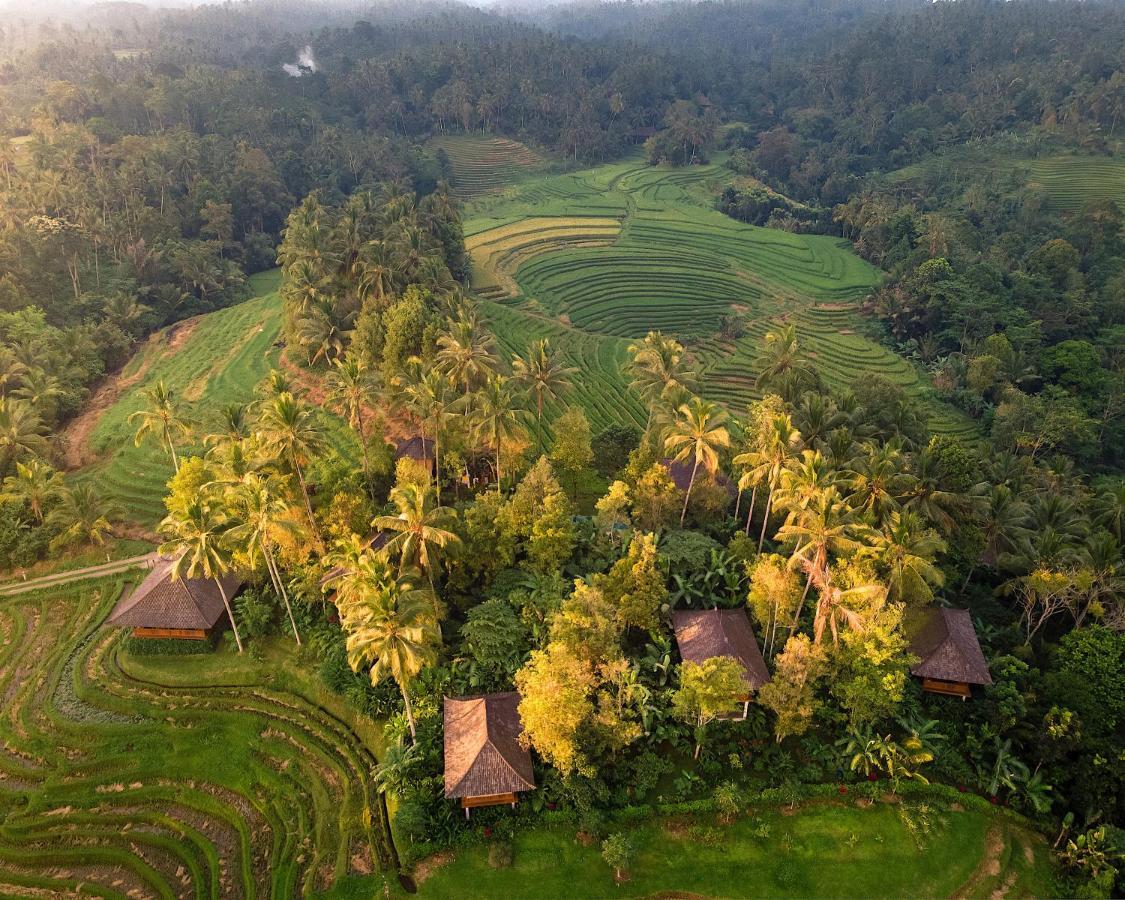 Clove Tree Hill Blimbing  Ngoại thất bức ảnh