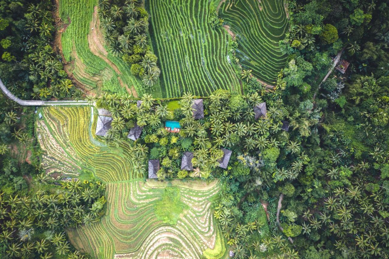 Clove Tree Hill Blimbing  Ngoại thất bức ảnh