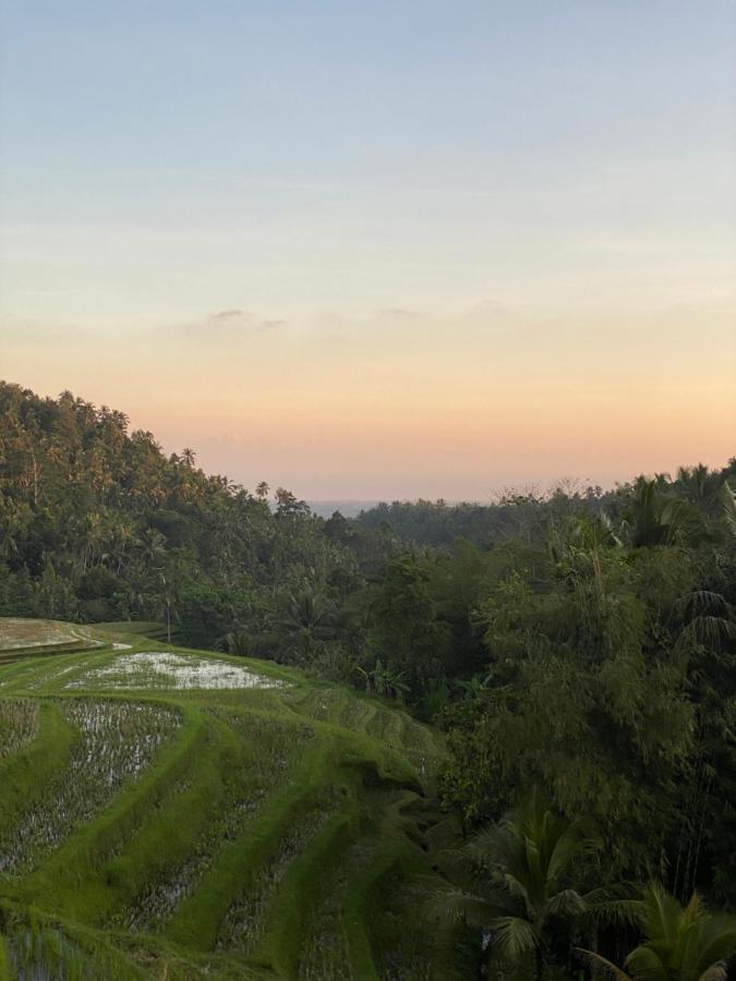 Clove Tree Hill Blimbing  Ngoại thất bức ảnh