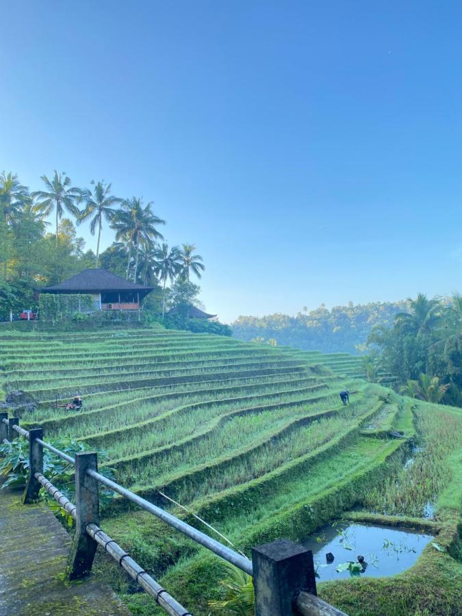 Clove Tree Hill Blimbing  Ngoại thất bức ảnh