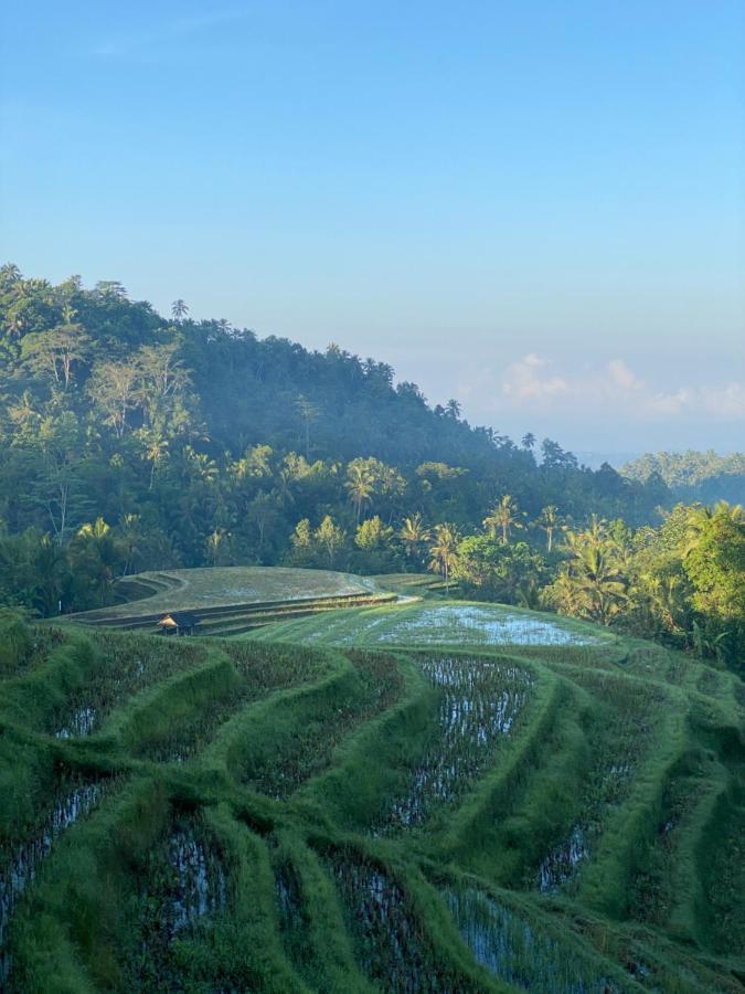 Clove Tree Hill Blimbing  Ngoại thất bức ảnh