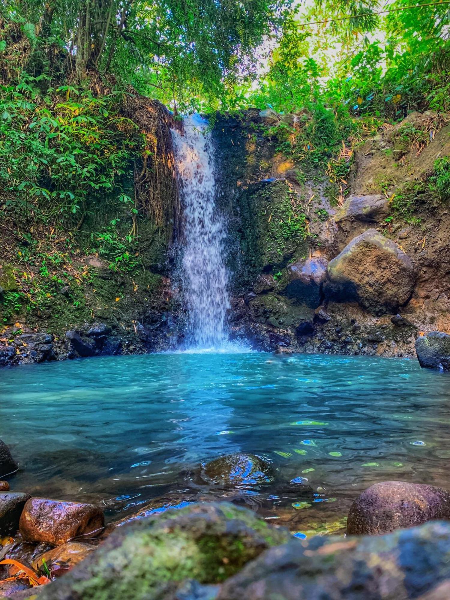 Clove Tree Hill Blimbing  Ngoại thất bức ảnh
