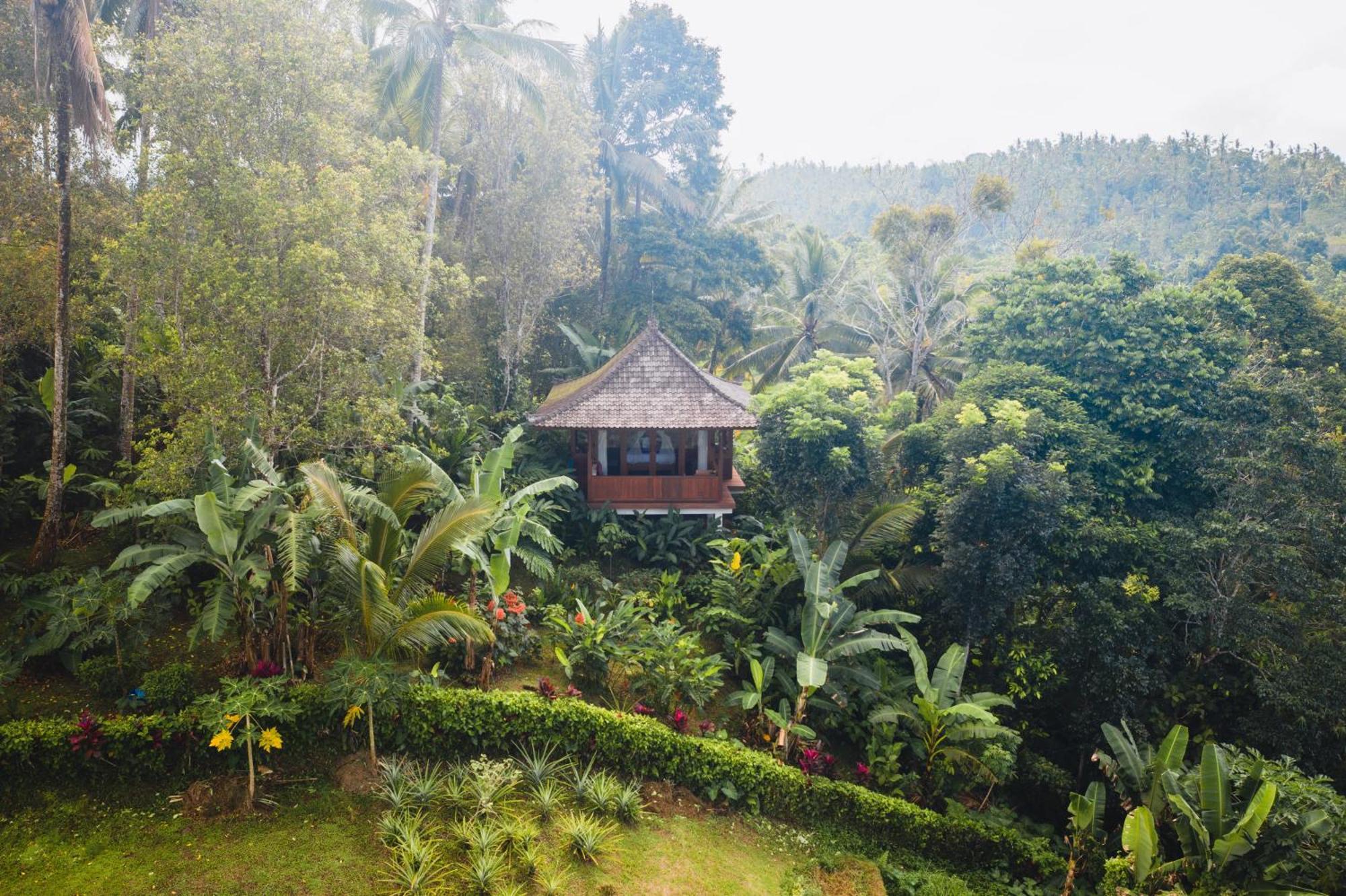 Clove Tree Hill Blimbing  Phòng bức ảnh