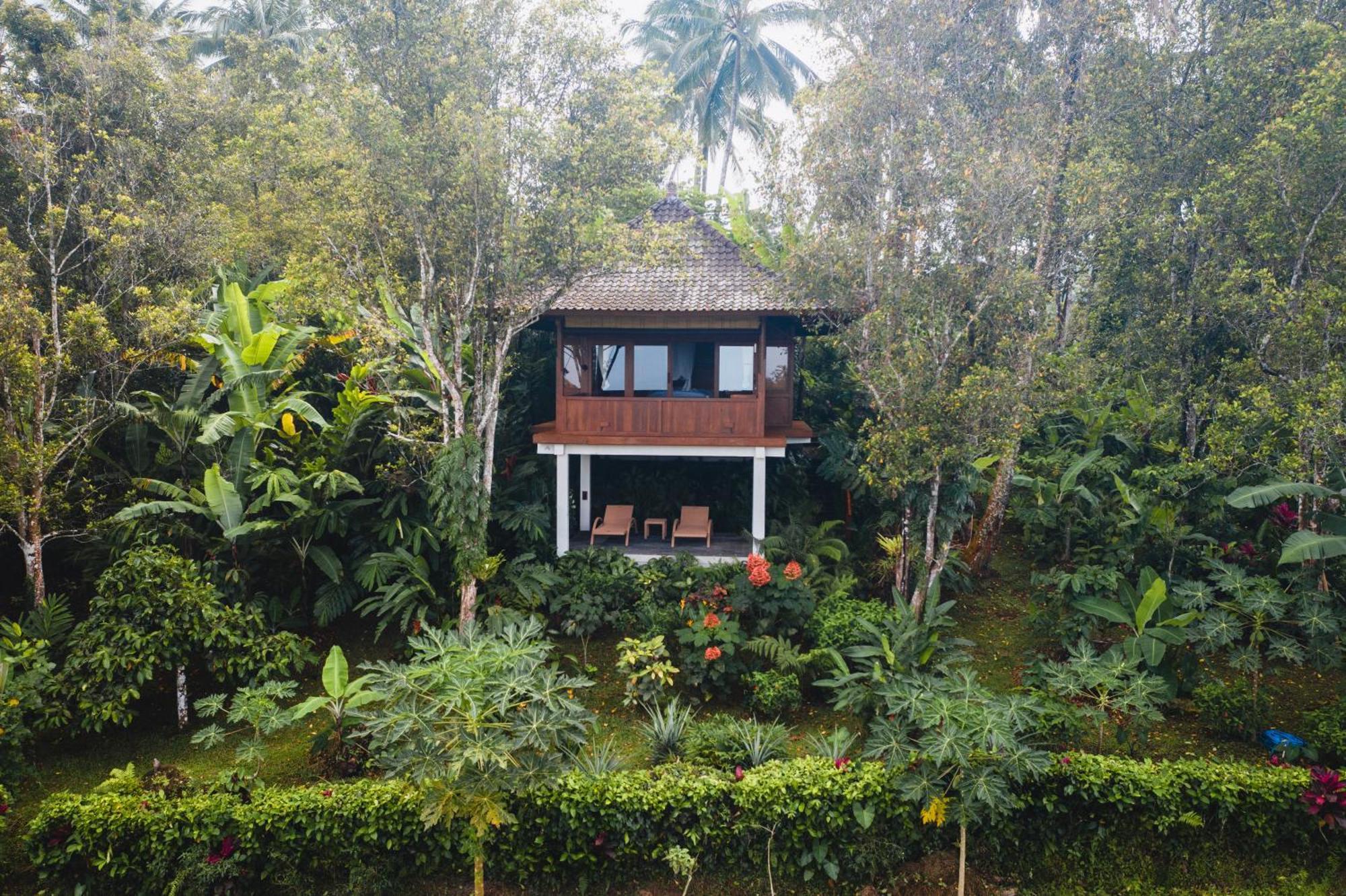 Clove Tree Hill Blimbing  Phòng bức ảnh
