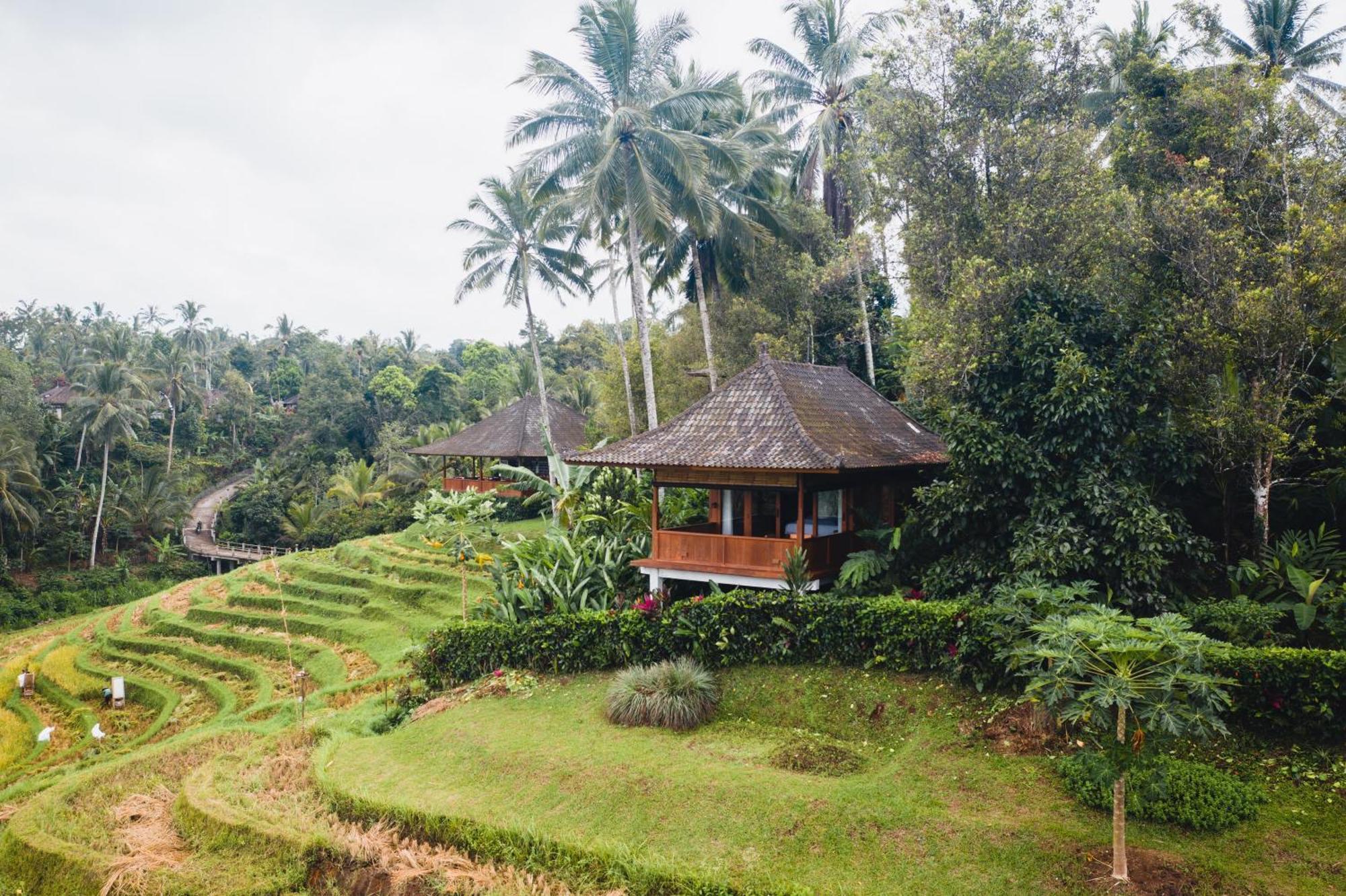 Clove Tree Hill Blimbing  Phòng bức ảnh