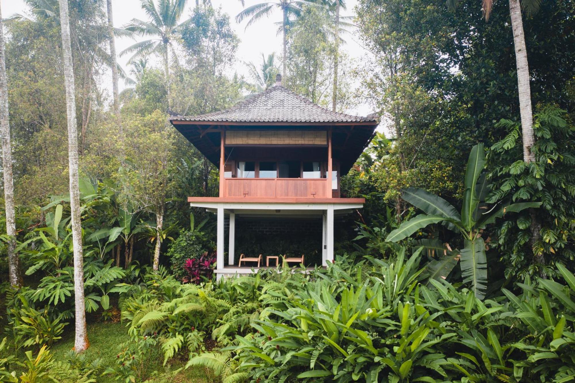 Clove Tree Hill Blimbing  Phòng bức ảnh