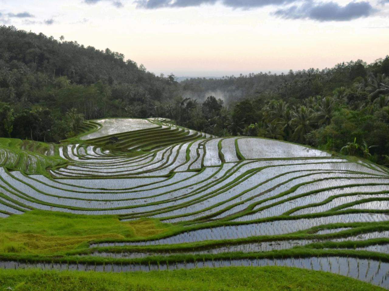 Clove Tree Hill Blimbing  Ngoại thất bức ảnh